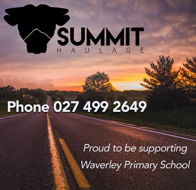Summit Haulage - Waverley Primary School - Mar 24
