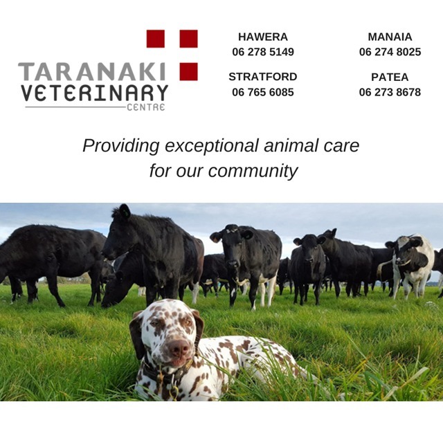 Taranaki Veterinary Centre - Waverley Primary School - July 24